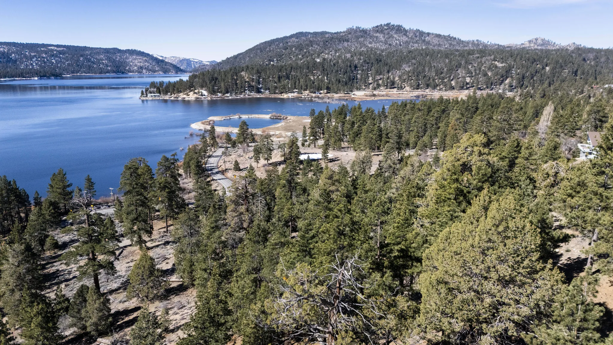 Forested shoreline and undeveloped open space along Big Bear Lake at the Moon Camp parcel
