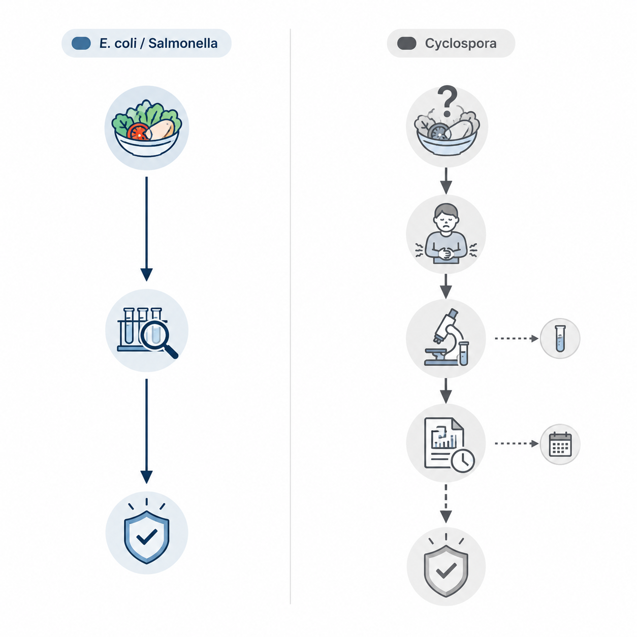 Comparison diagram showing a more direct E. coli or Salmonella evidence path and a broken Cyclospora proof path