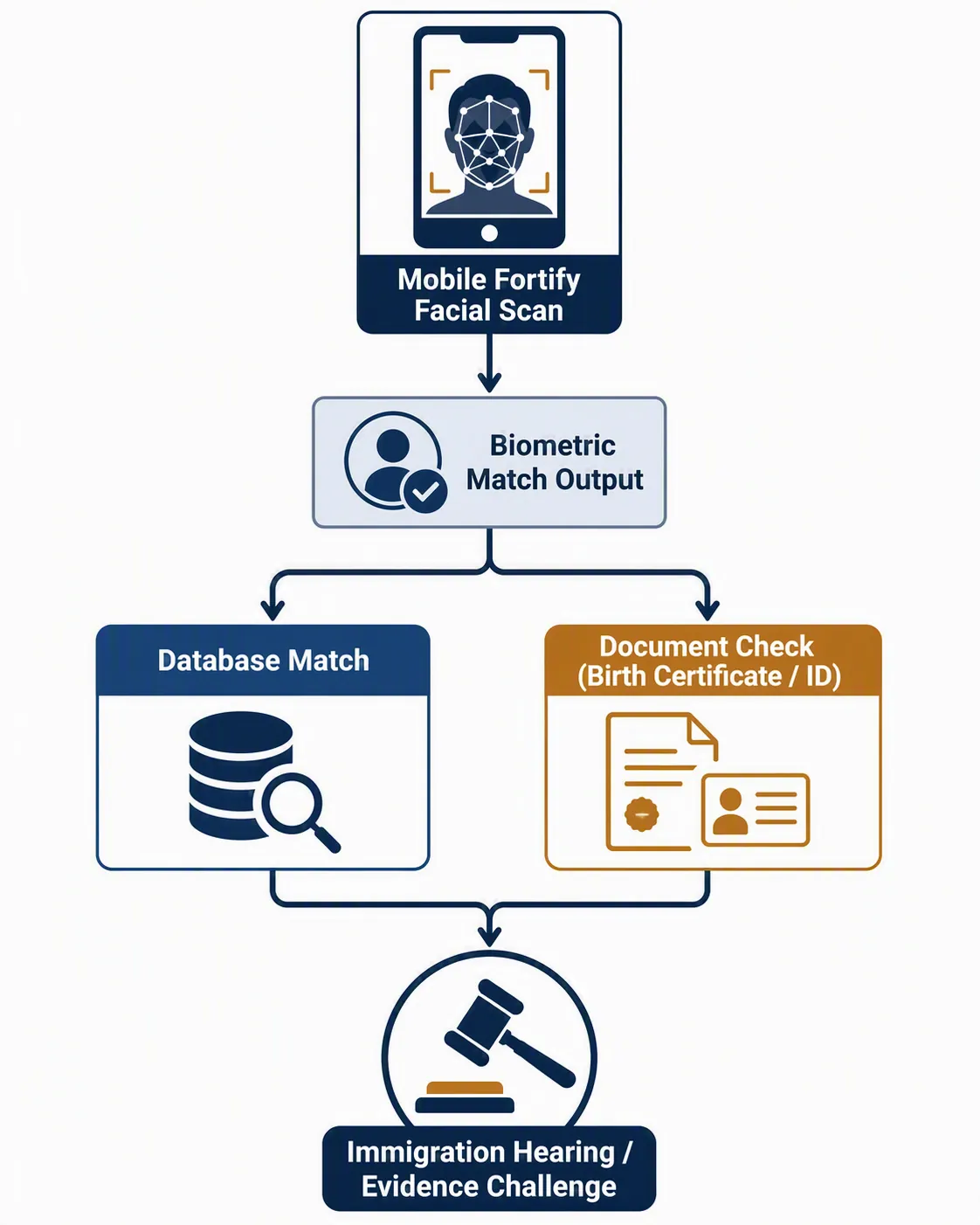 Flowchart of a Mobile Fortify facial scan moving through biometric match, database and document checks, and an immigration hearing challenge
