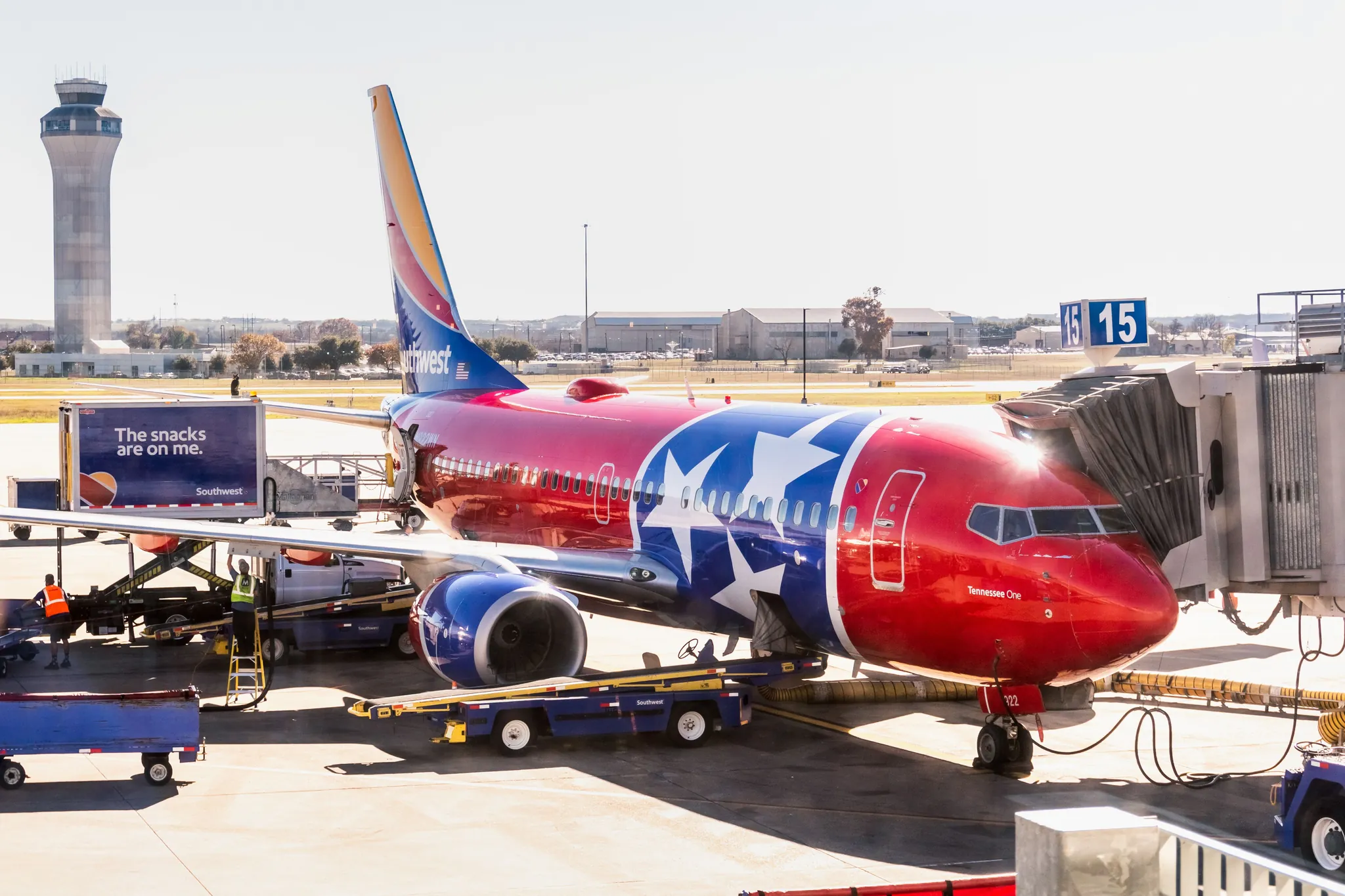 Southwest Flight Attendant Lorenzo Thompson ICE Case Record