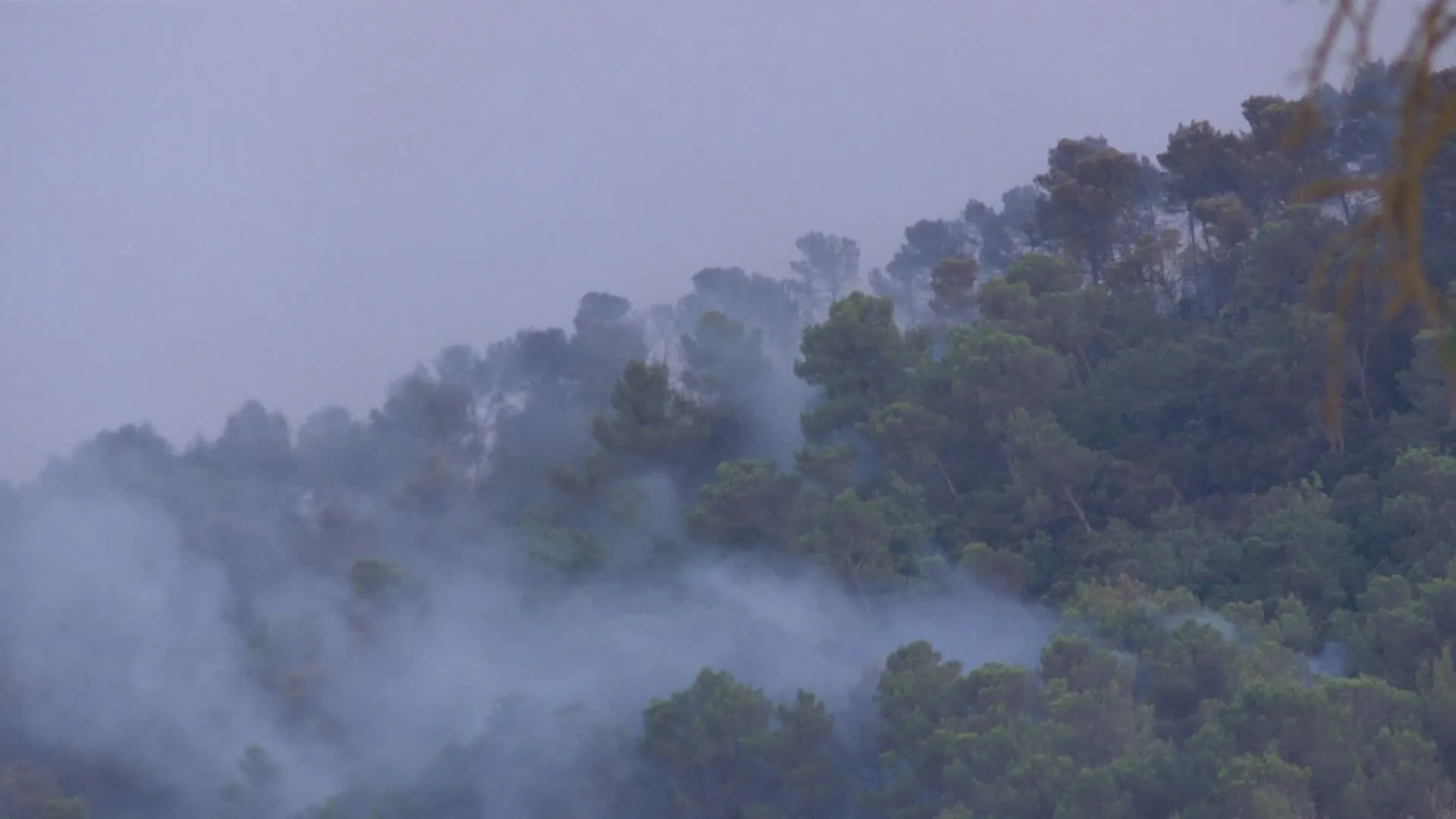 Smoke and flames rising over dry scrubland and hillsides near Brignoles during the July 29, 2026 wildfire