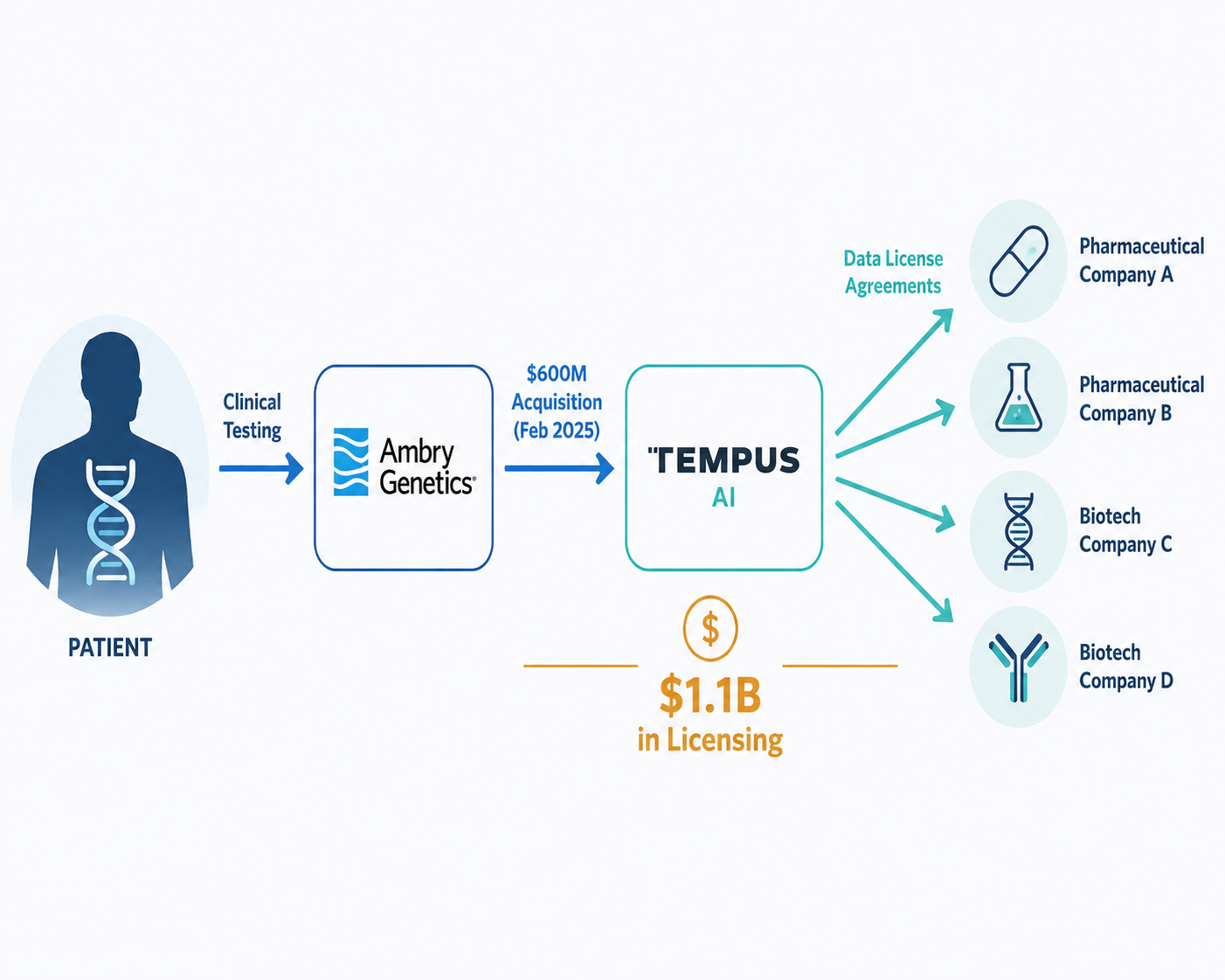 Data flow from patient genetic testing through Ambry Genetics, Tempus AI acquisition, and pharmaceutical licensing agreements