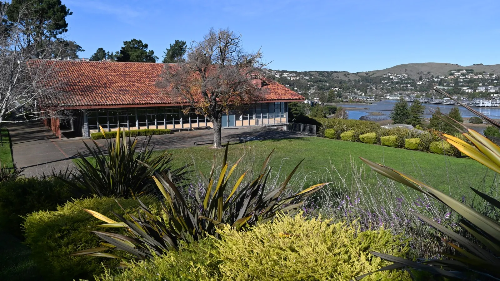 Marin housing project environmental review lawsuit pending