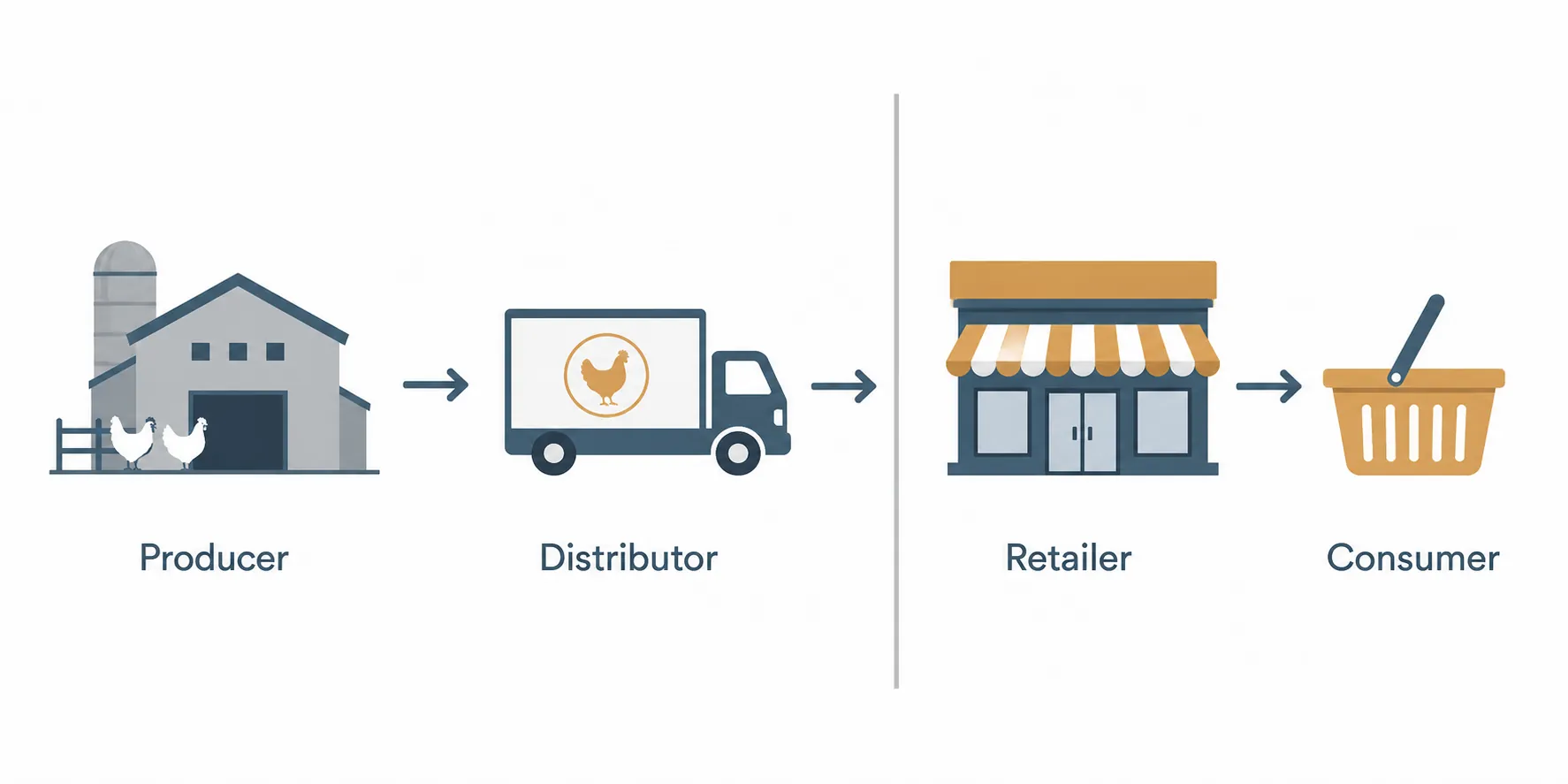 Flow diagram from producer to distributor to retailer to consumer