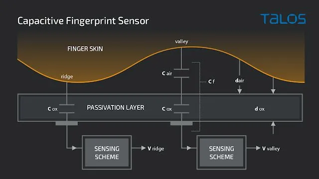 3D-printed fingerprint replica mula sa Cisco Talos fingerprint-cloning research