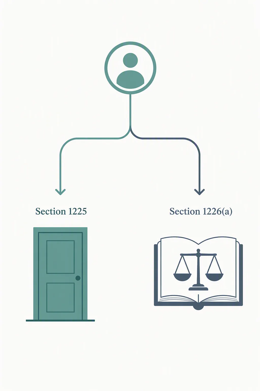 Flowchart splitting an airport detention case into Section 1225 and Section 1226(a) paths