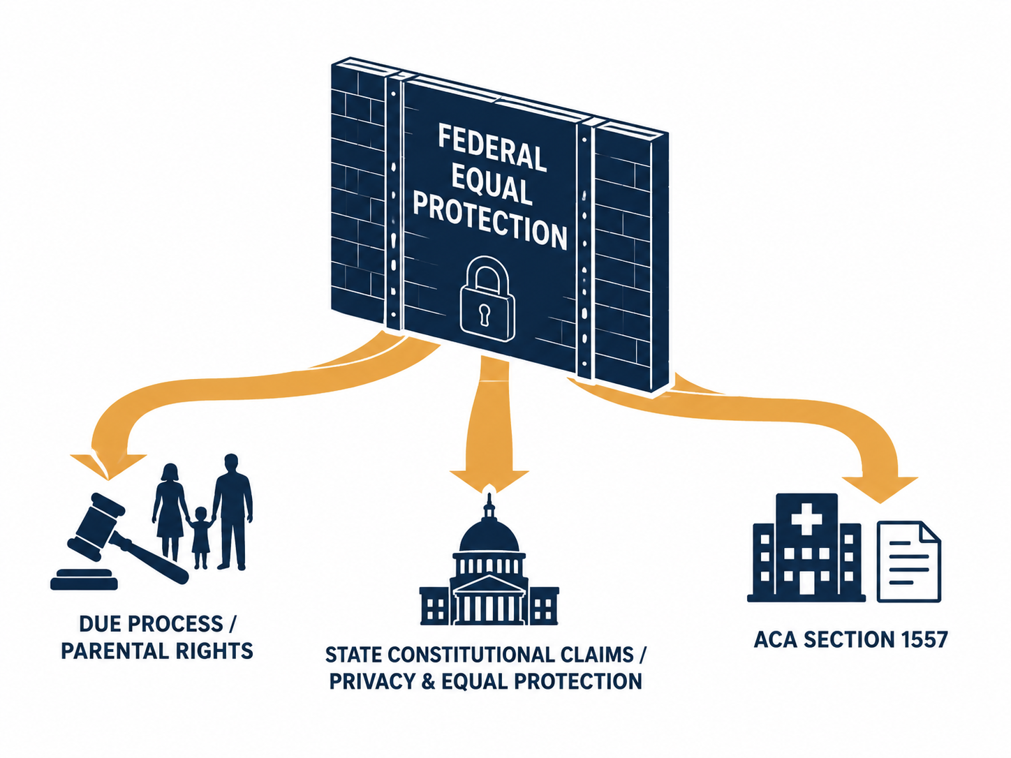 Diagram showing federal equal protection closed and three open paths for due process, state constitutional claims, and ACA Section 1557