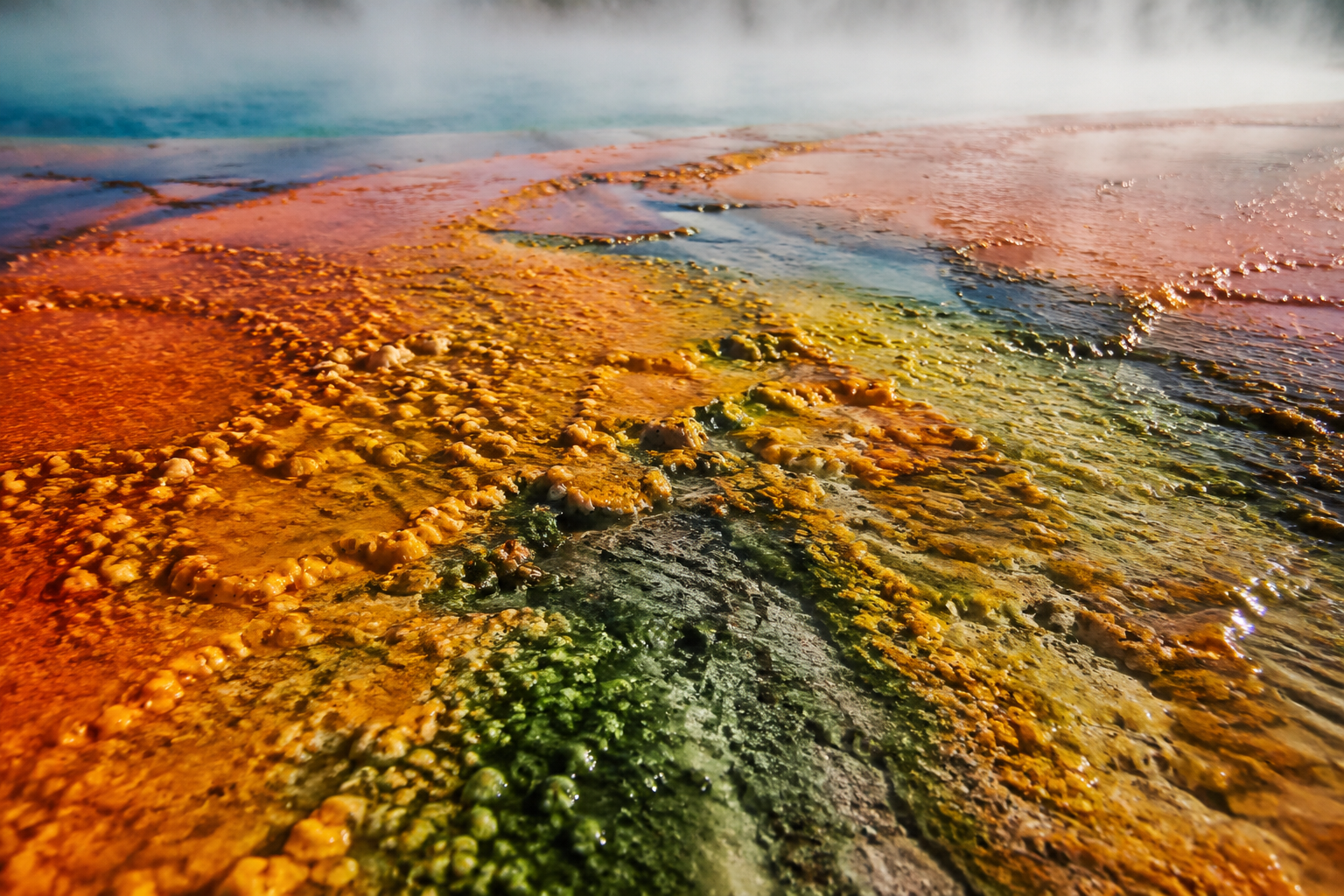 Close-up of colorful microbial mats at Grand Prismatic Spring with textured thermal bands