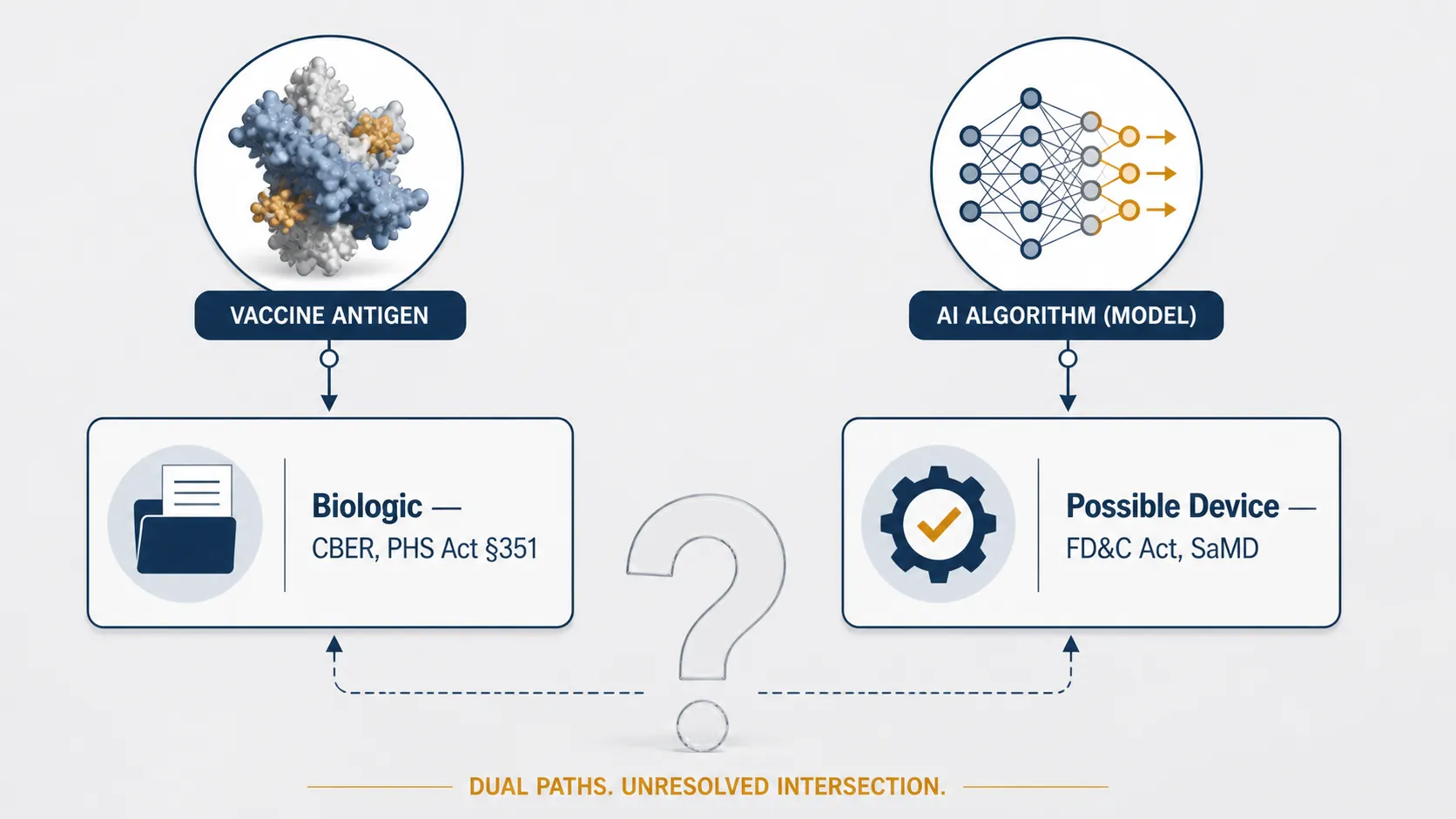 Diagram separating a vaccine biologic pathway from a possible AI device pathway